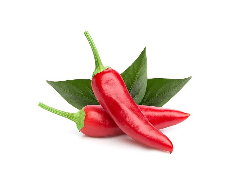 Plant Pods: Chili Pepper