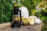 Hurricane lantern BABY SPECIAL 276 Jet Black