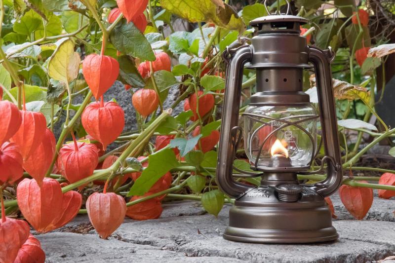 Feuerhand Outdoor Kerosene Fuel Lantern, Baby Special 276
