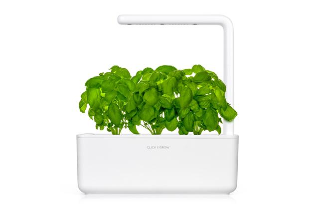 Plant Pods: Basil