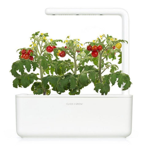 Plant Pods: Mini Tomato